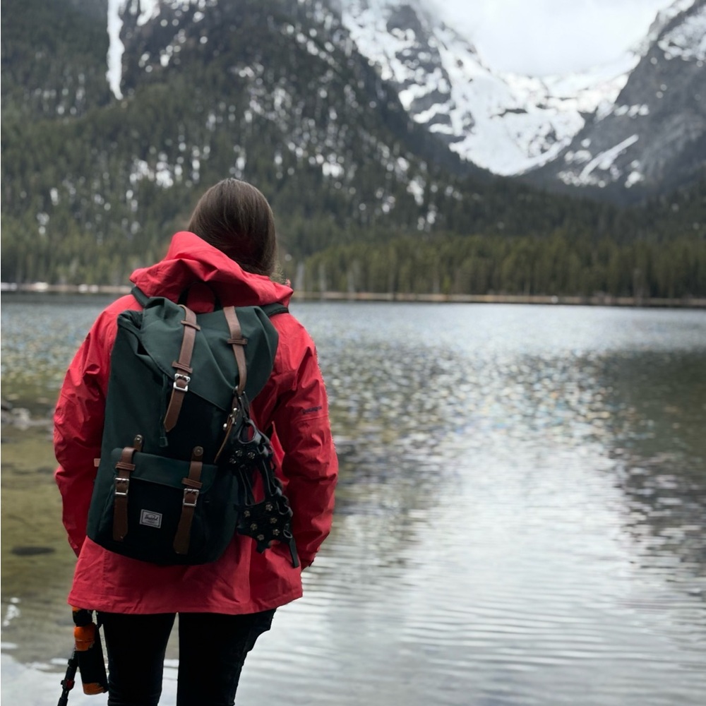Herschel Supply Company Forest Green and Tan Large Backpack - Picture 9 of 9